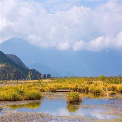 2023年河北省生态环境保护工作取得丰硕成果